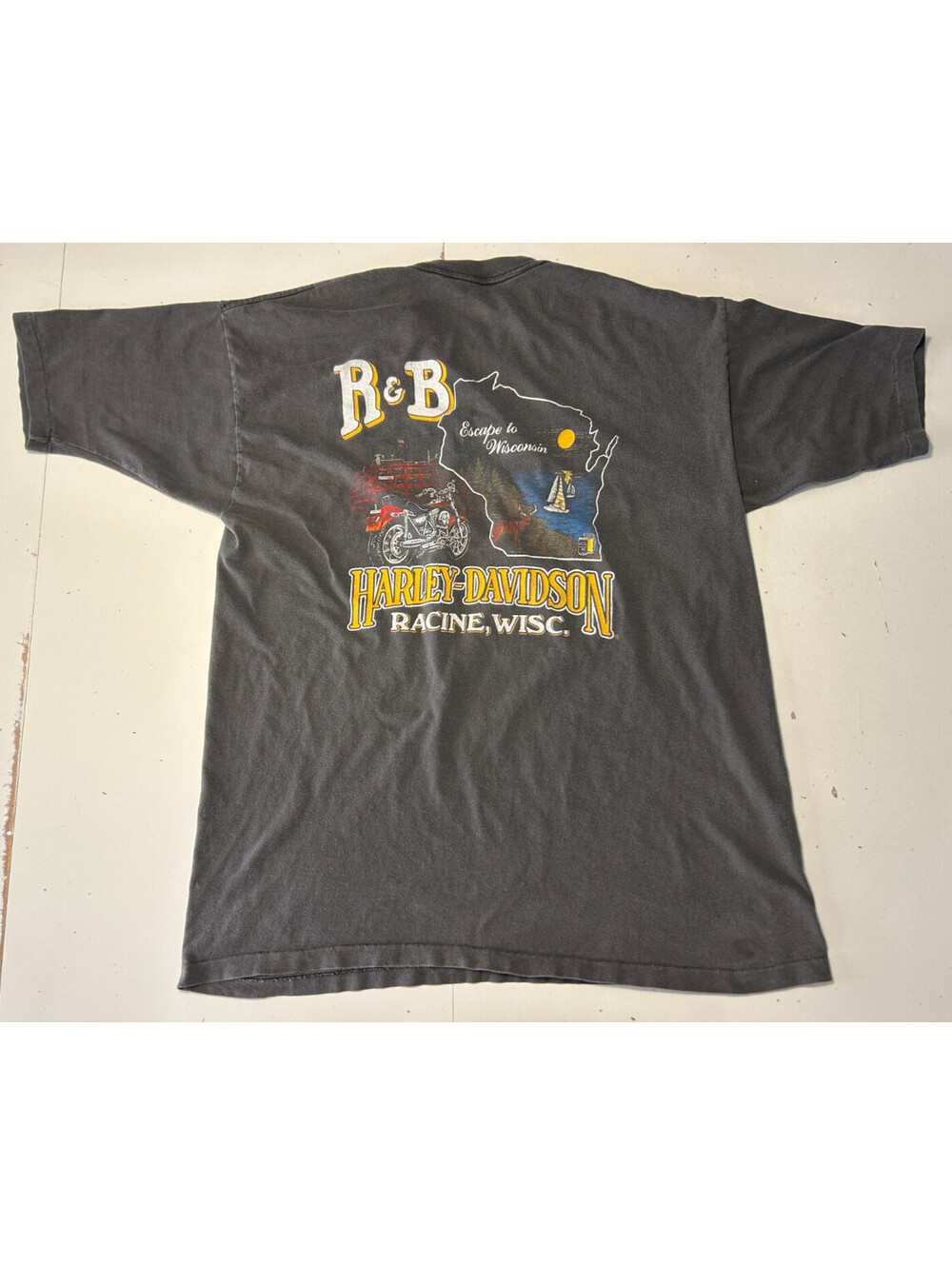 Vintage Harley Davidson Racine, WI T-Shirt Eagle & Bike Graphic Tee Gray